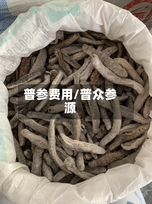 普参费用/普众参源