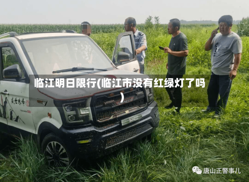 临江明日限行(临江市没有红绿灯了吗)
