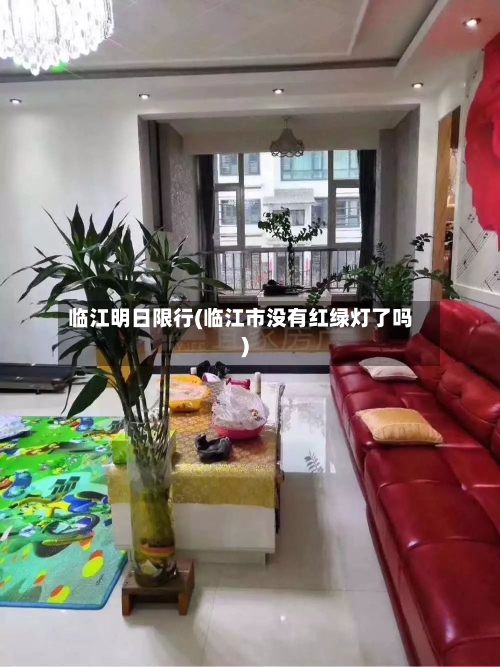 临江明日限行(临江市没有红绿灯了吗)-第2张图片