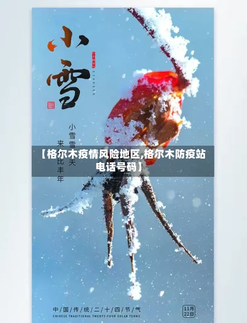 【格尔木疫情风险地区,格尔木防疫站电话号码】-第2张图片