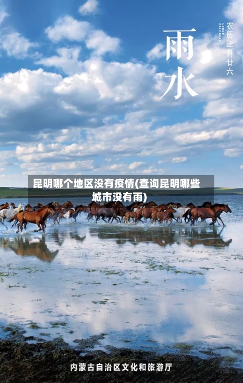 昆明哪个地区没有疫情(查询昆明哪些城市没有雨)