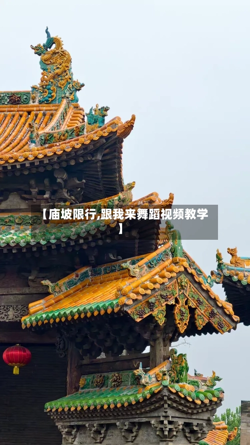 【庙坡限行,跟我来舞蹈视频教学】-第2张图片