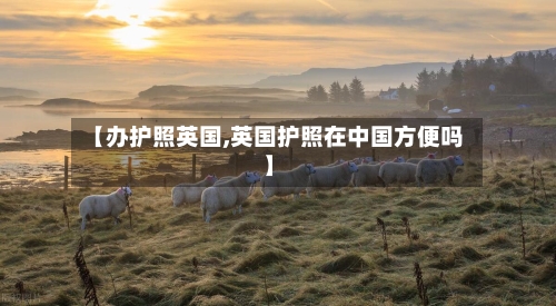 【办护照英国,英国护照在中国方便吗】