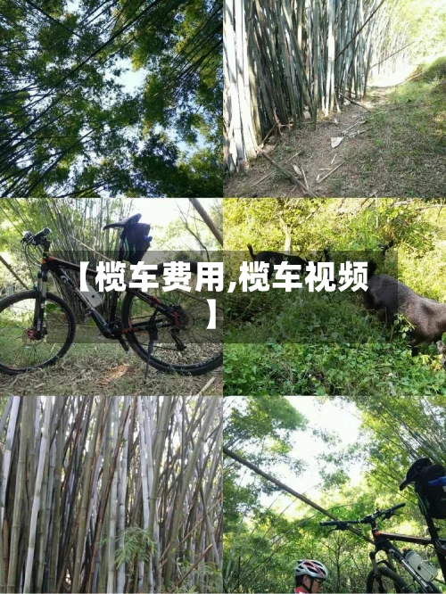 【榄车费用,榄车视频】