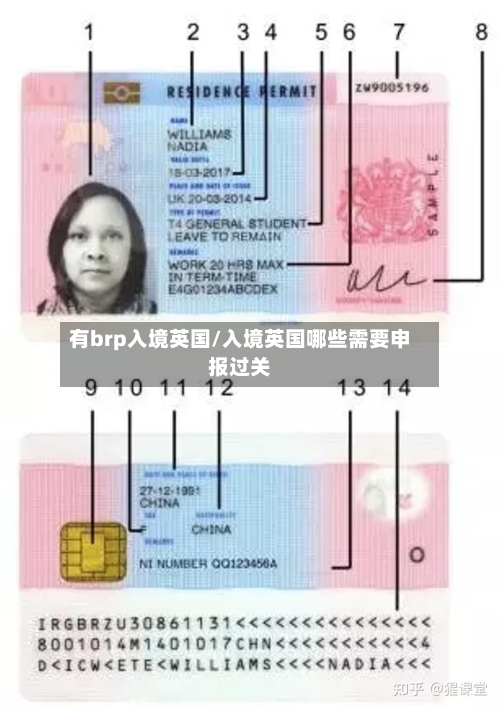 有brp入境英国/入境英国哪些需要申报过关-第3张图片