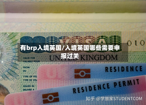 有brp入境英国/入境英国哪些需要申报过关-第2张图片