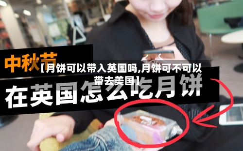 【月饼可以带入英国吗,月饼可不可以带去美国】-第2张图片