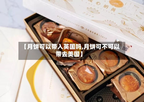 【月饼可以带入英国吗,月饼可不可以带去美国】-第3张图片