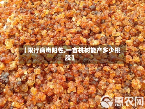 【限行病毒阳性,一亩桃树能产多少桃胶】