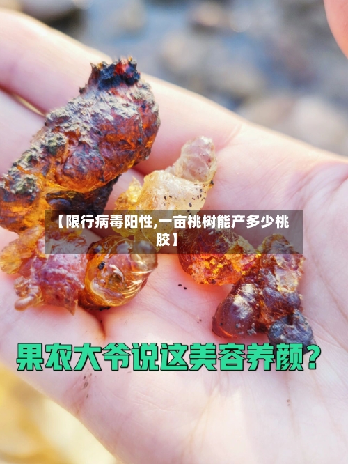 【限行病毒阳性,一亩桃树能产多少桃胶】-第3张图片
