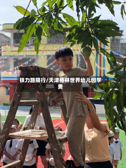 铁力路限行/天津格林世界幼儿园学费
