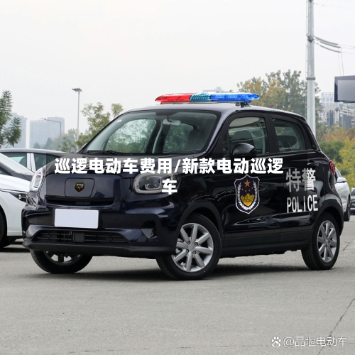 巡逻电动车费用/新款电动巡逻车-第2张图片