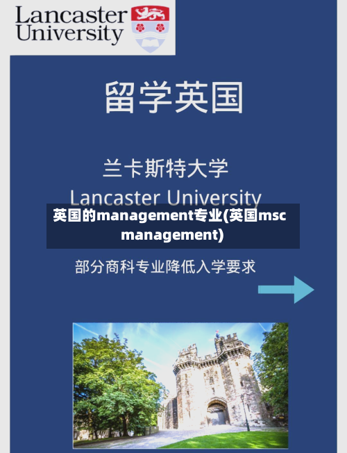 英国的management专业(英国msc management)