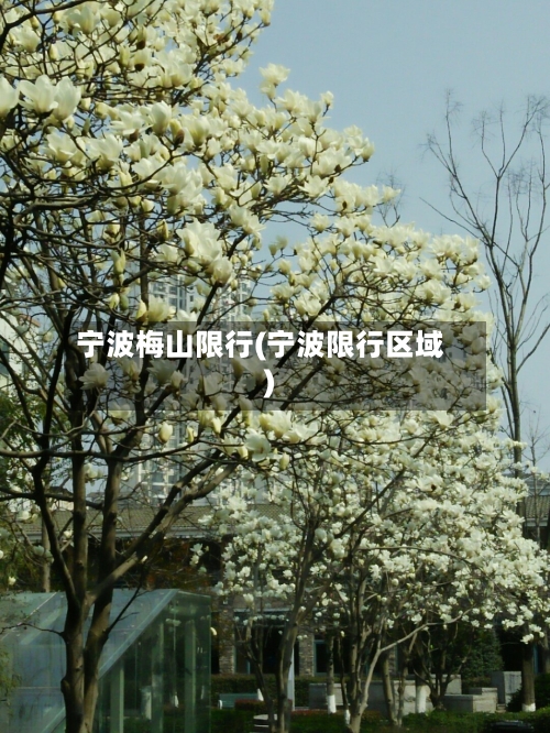 宁波梅山限行(宁波限行区域)-第3张图片