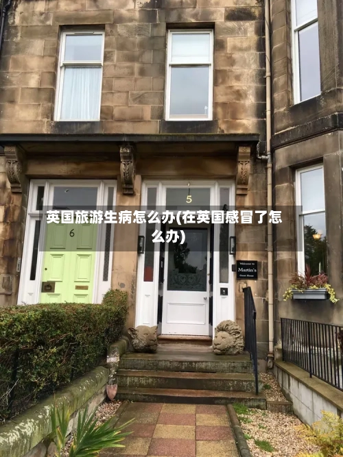 英国旅游生病怎么办(在英国感冒了怎么办)-第2张图片