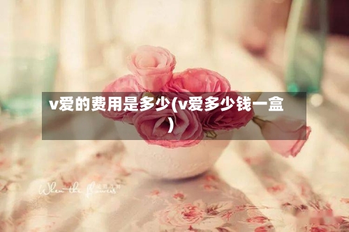 v爱的费用是多少(v爱多少钱一盒)