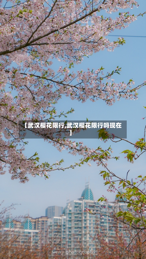 【武汉樱花限行,武汉樱花限行吗现在】-第3张图片