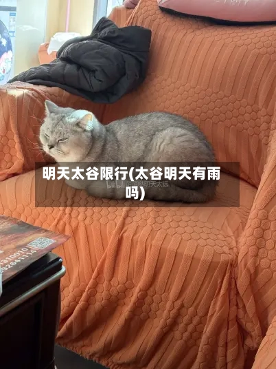 明天太谷限行(太谷明天有雨吗)-第2张图片