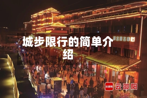 城步限行的简单介绍
