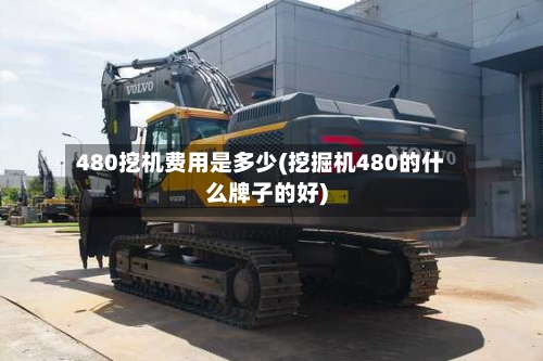 480挖机费用是多少(挖掘机480的什么牌子的好)-第3张图片