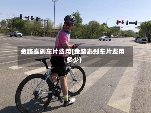 金路泰刹车片费用(金路泰刹车片费用多少)-第3张图片