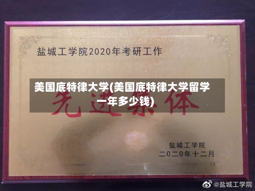 美国底特律大学(美国底特律大学留学一年多少钱)-第2张图片