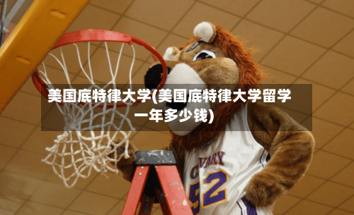 美国底特律大学(美国底特律大学留学一年多少钱)