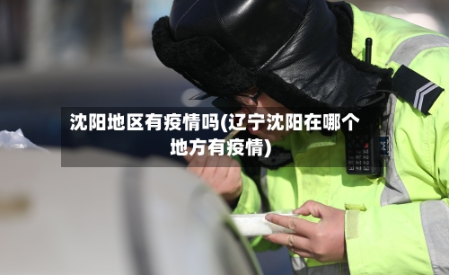 沈阳地区有疫情吗(辽宁沈阳在哪个地方有疫情)