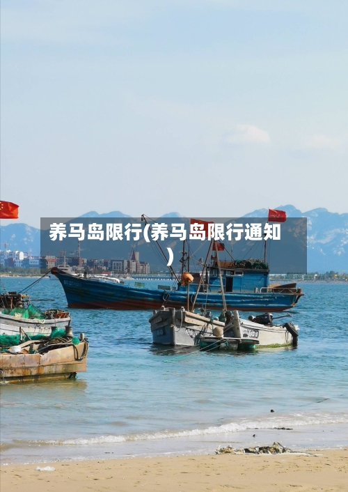 养马岛限行(养马岛限行通知)-第3张图片