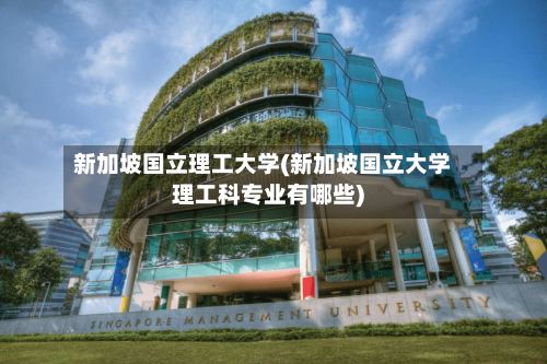 新加坡国立理工大学(新加坡国立大学理工科专业有哪些)