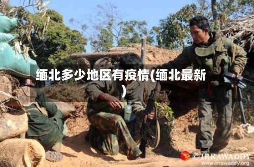 缅北多少地区有疫情(缅北最新)