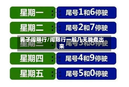 男子闯限行/闯限行一般几天能查出来-第2张图片