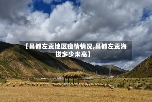 【昌都左贡地区疫情情况,昌都左贡海拔多少米高】