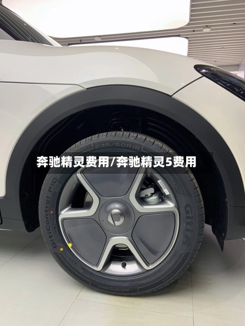 奔驰精灵费用/奔驰精灵5费用