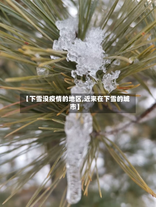【下雪没疫情的地区,近来在下雪的城市】-第2张图片