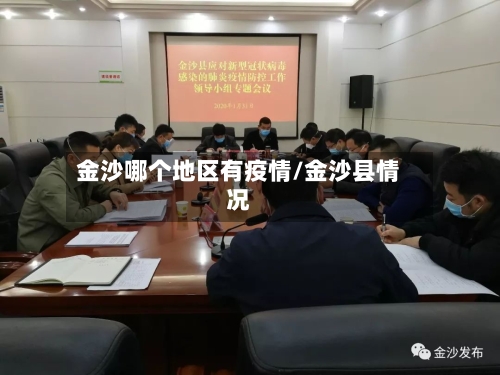 金沙哪个地区有疫情/金沙县情况