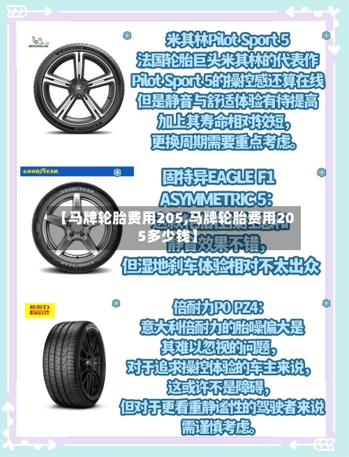 【马牌轮胎费用205,马牌轮胎费用205多少钱】-第3张图片