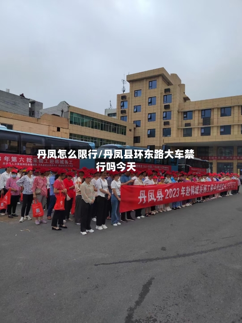 丹凤怎么限行/丹凤县环东路大车禁行吗今天-第2张图片