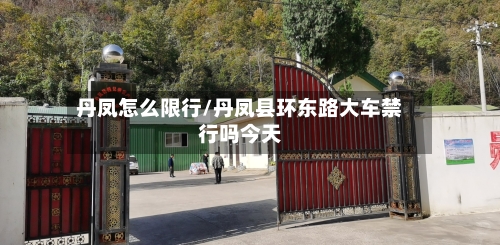 丹凤怎么限行/丹凤县环东路大车禁行吗今天-第3张图片