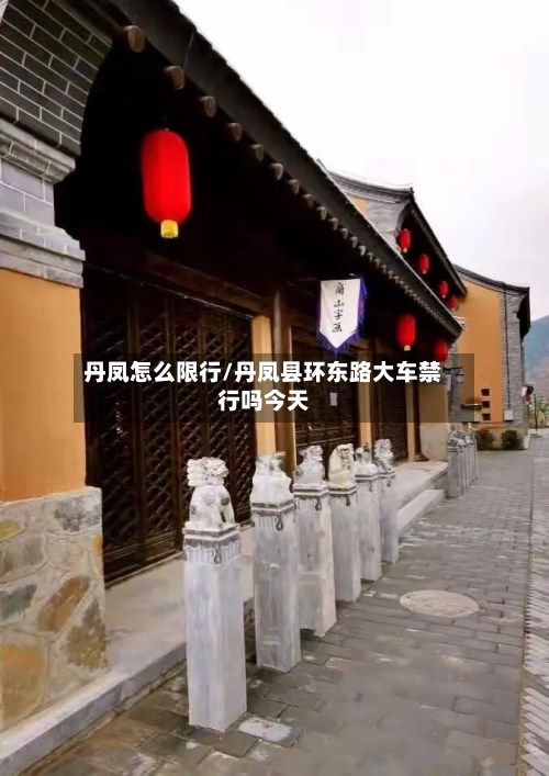 丹凤怎么限行/丹凤县环东路大车禁行吗今天