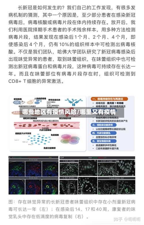 哪些地区有疫情风险/哪里又有疫情-第2张图片
