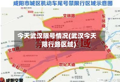 今天武汉限号情况(武汉今天限行路区域)-第2张图片
