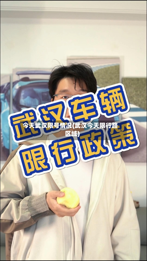 今天武汉限号情况(武汉今天限行路区域)