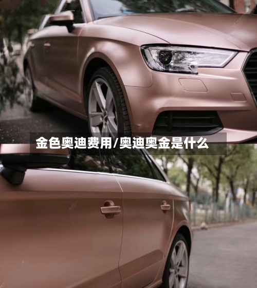 金色奥迪费用/奥迪奥金是什么-第2张图片