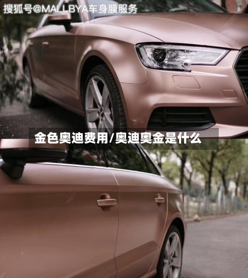 金色奥迪费用/奥迪奥金是什么