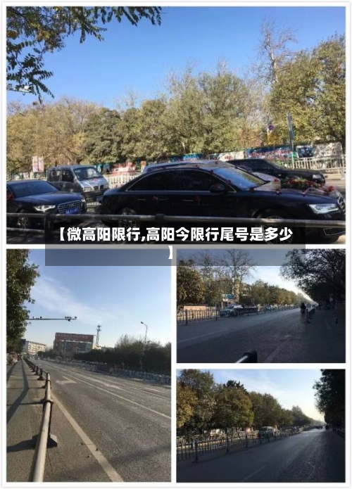 【微高阳限行,高阳今限行尾号是多少】-第2张图片