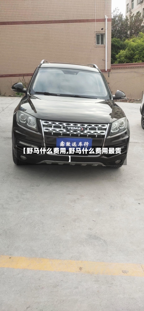 【野马什么费用,野马什么费用最贵】-第2张图片