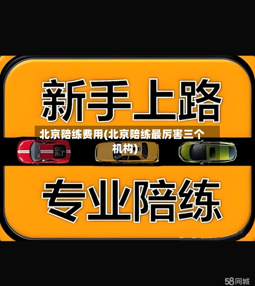 北京陪练费用(北京陪练最厉害三个机构)