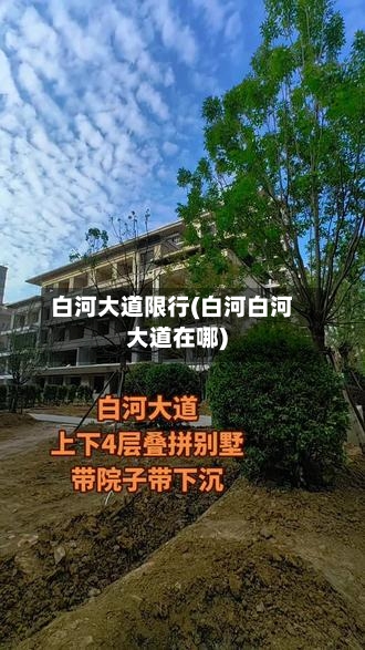 白河大道限行(白河白河大道在哪)-第2张图片