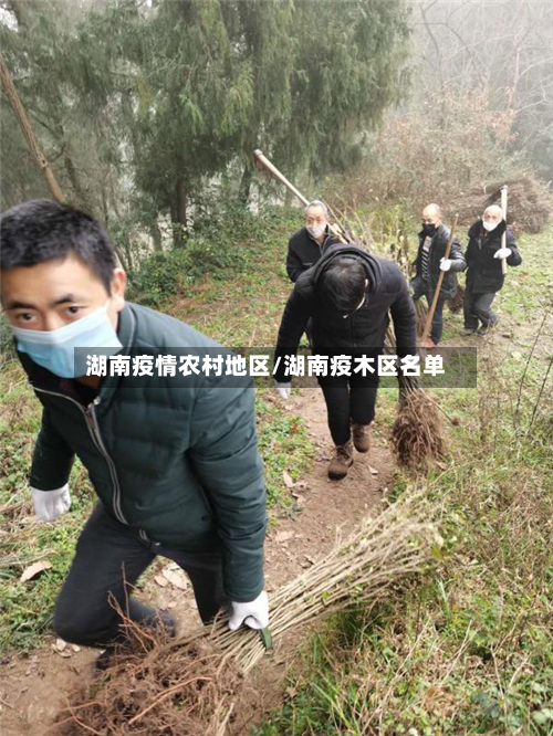 湖南疫情农村地区/湖南疫木区名单-第2张图片
